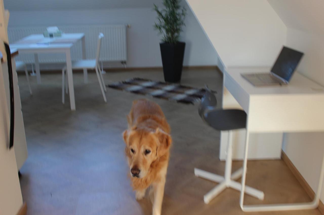 Ferienwohnung Haus Semmi Fuerstenfeld Exterior foto